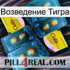 Возведение Тигра cialis5